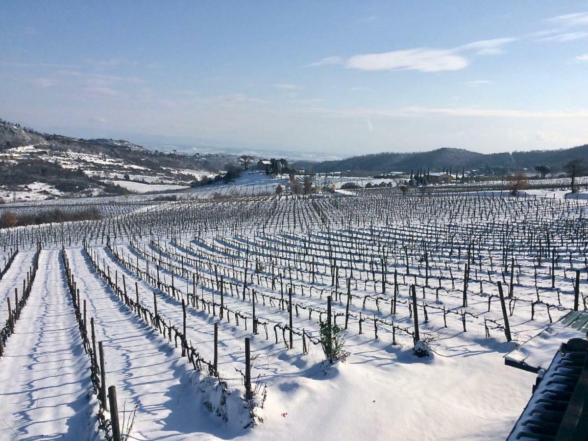 Montepulciano StazioneThe Grapevine By Manvi住宿加早餐旅馆 外观 照片