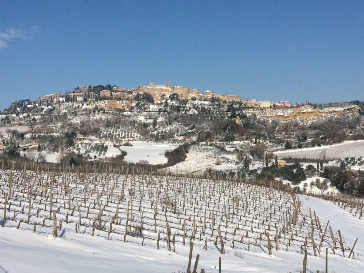 Montepulciano StazioneThe Grapevine By Manvi住宿加早餐旅馆 外观 照片